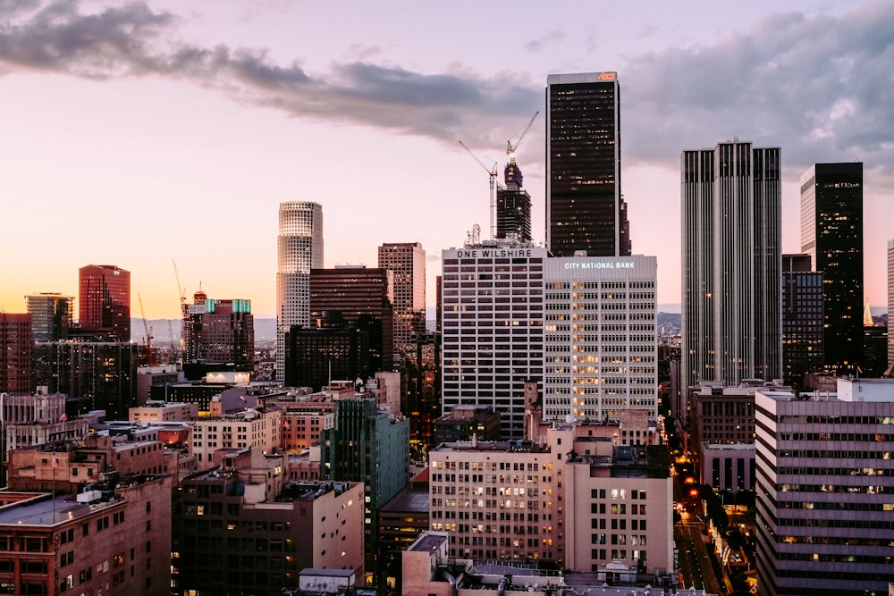 aerial photo of buildings during dusk