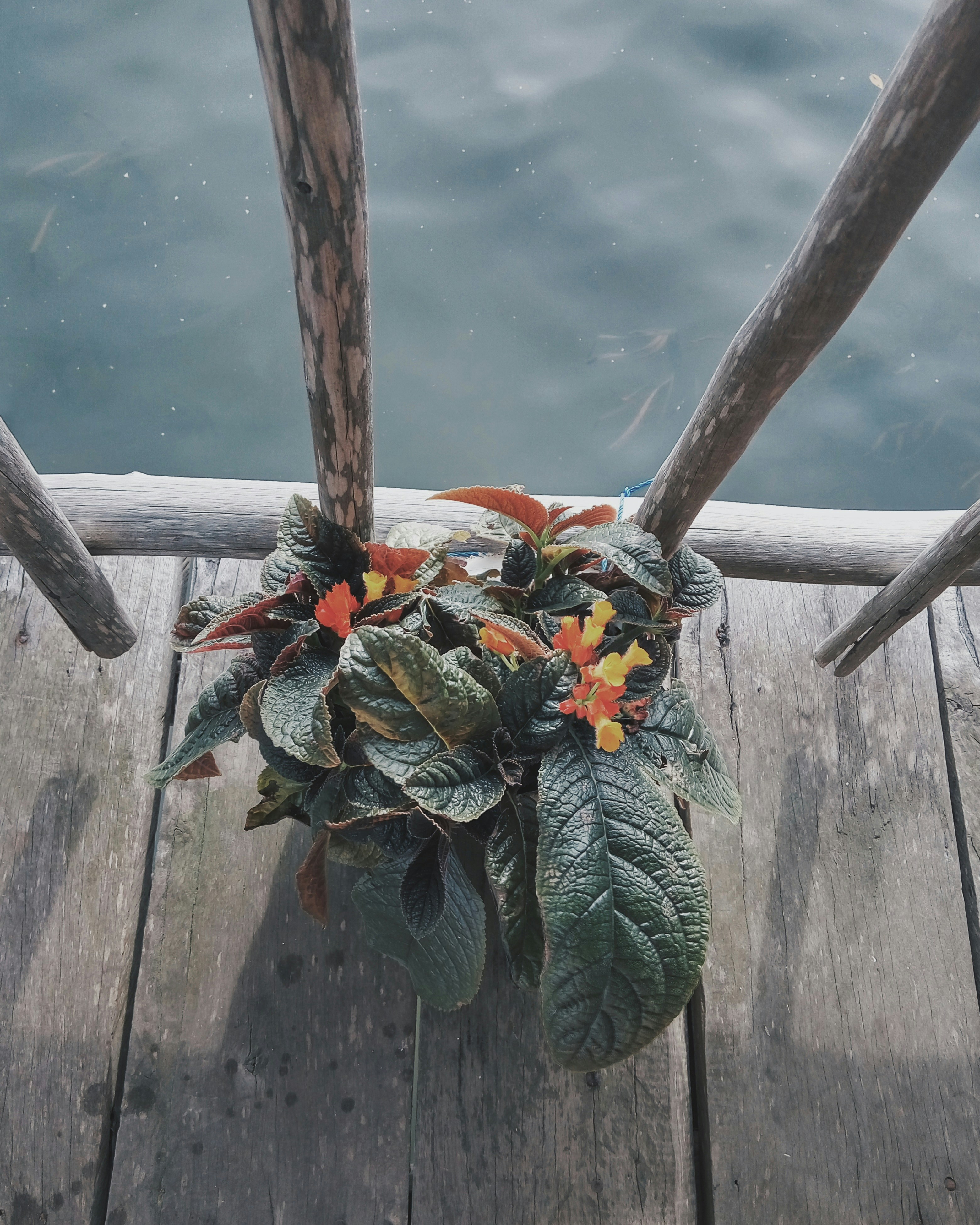 Free Unsplash photo from Venny Vnn