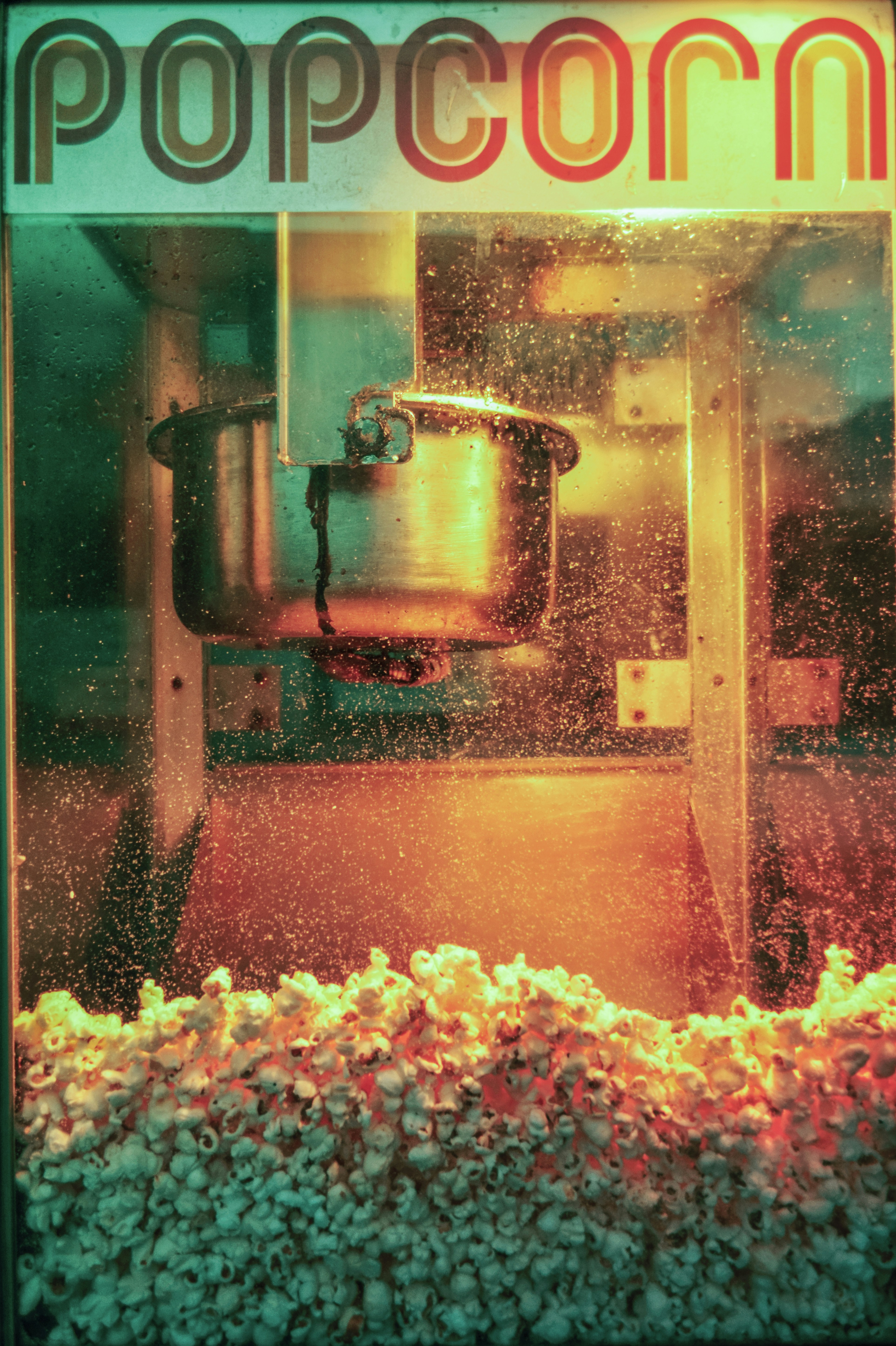 Free Unsplash photo from Dornean Alexandra