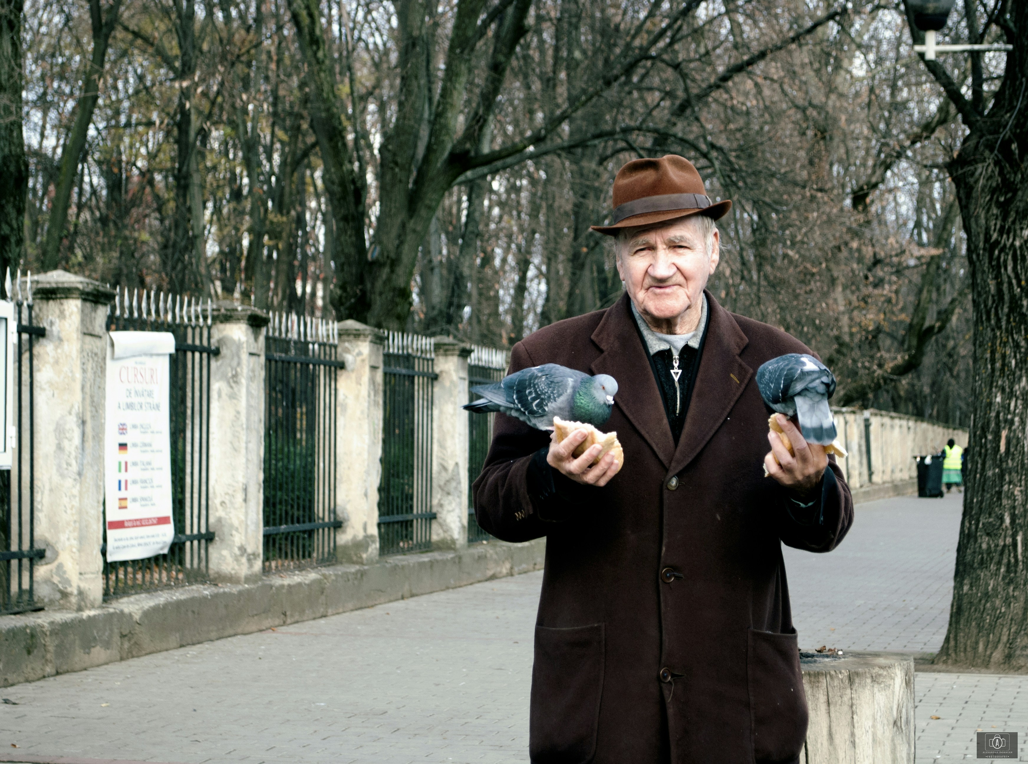 Free Unsplash photo from Dornean Alexandra