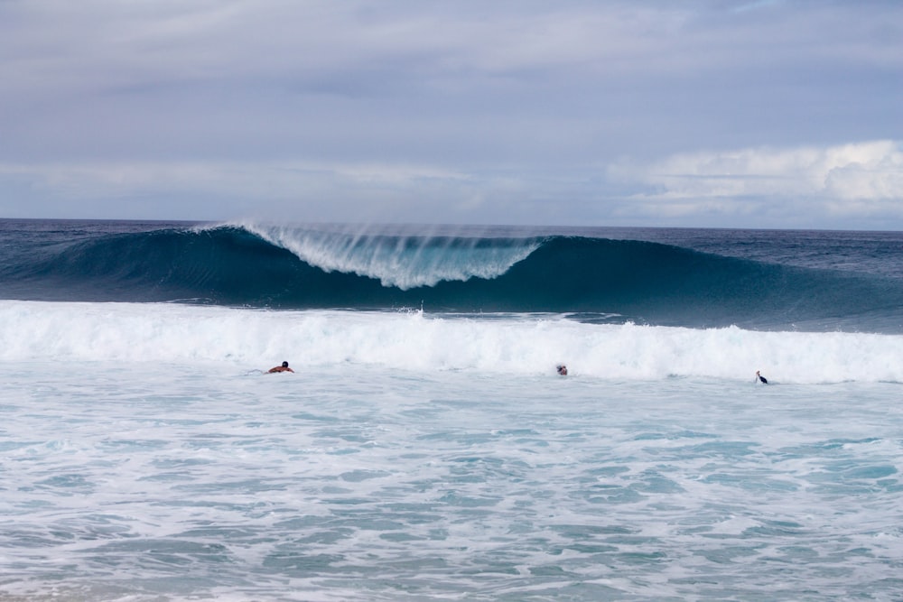 Large waves coming in to shore in Hawaii.