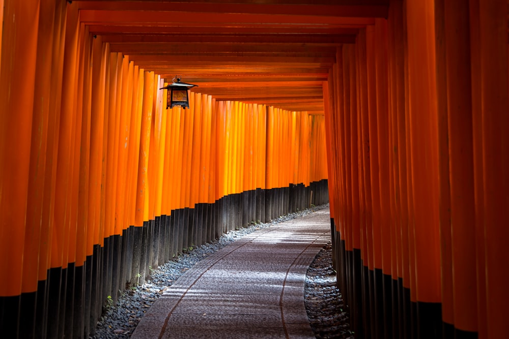 pathway in tunnel