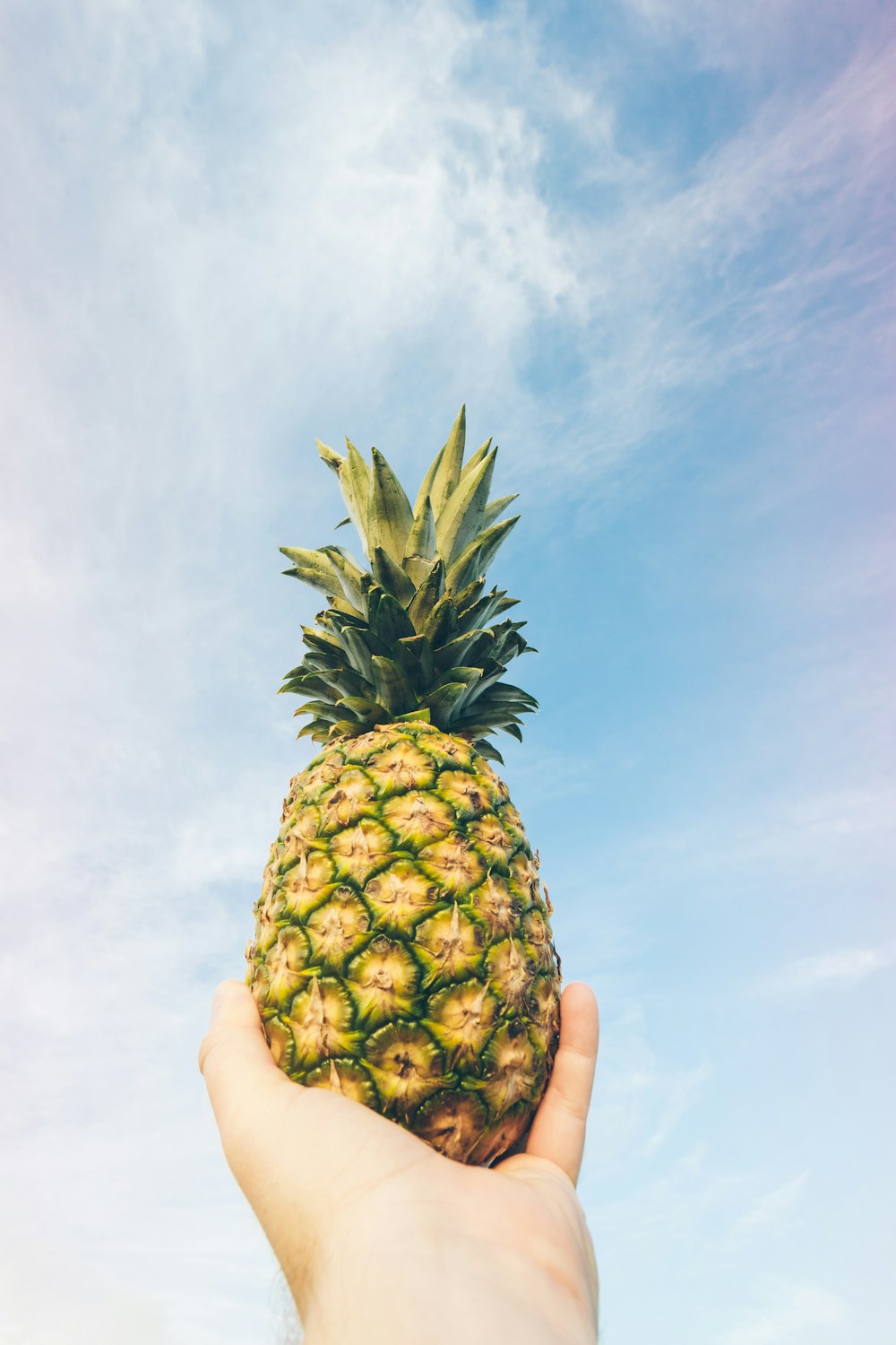 foto dal basso dell'ananas