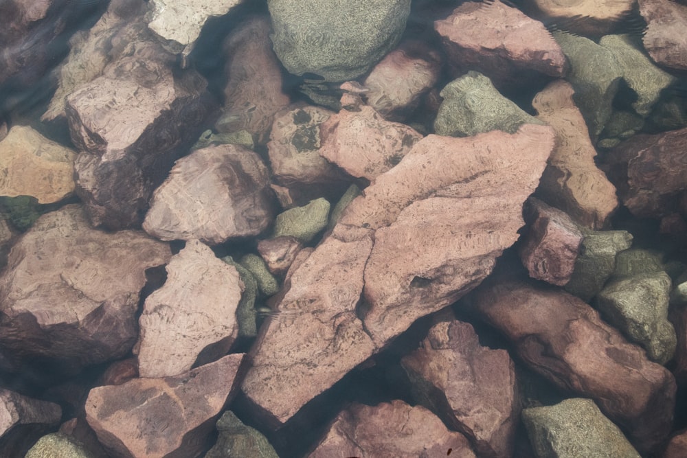 茶色と灰色の岩
