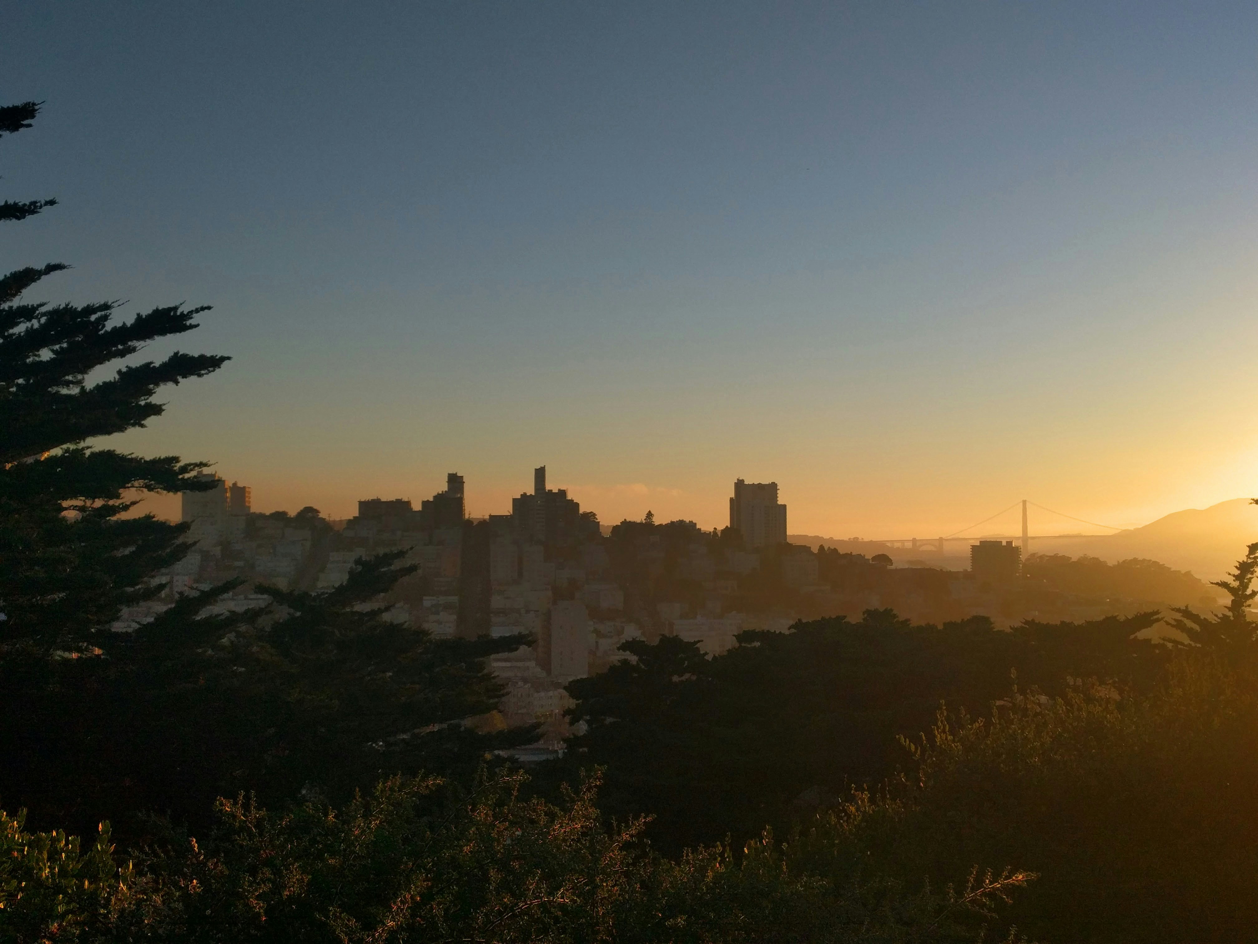 Free Unsplash photo from Walter Wu