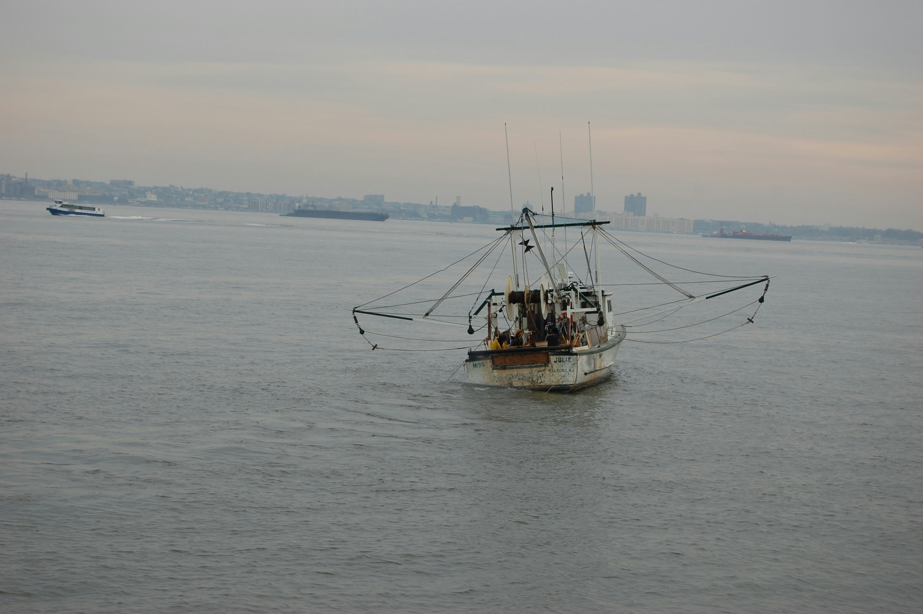 Free Unsplash photo from Kelly Mann