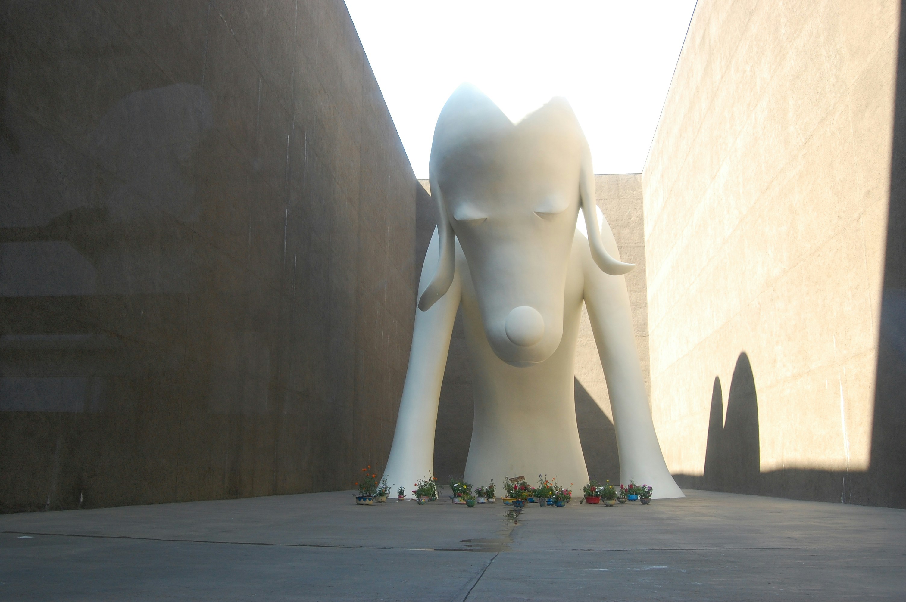 Free Unsplash photo from Kelly Mann