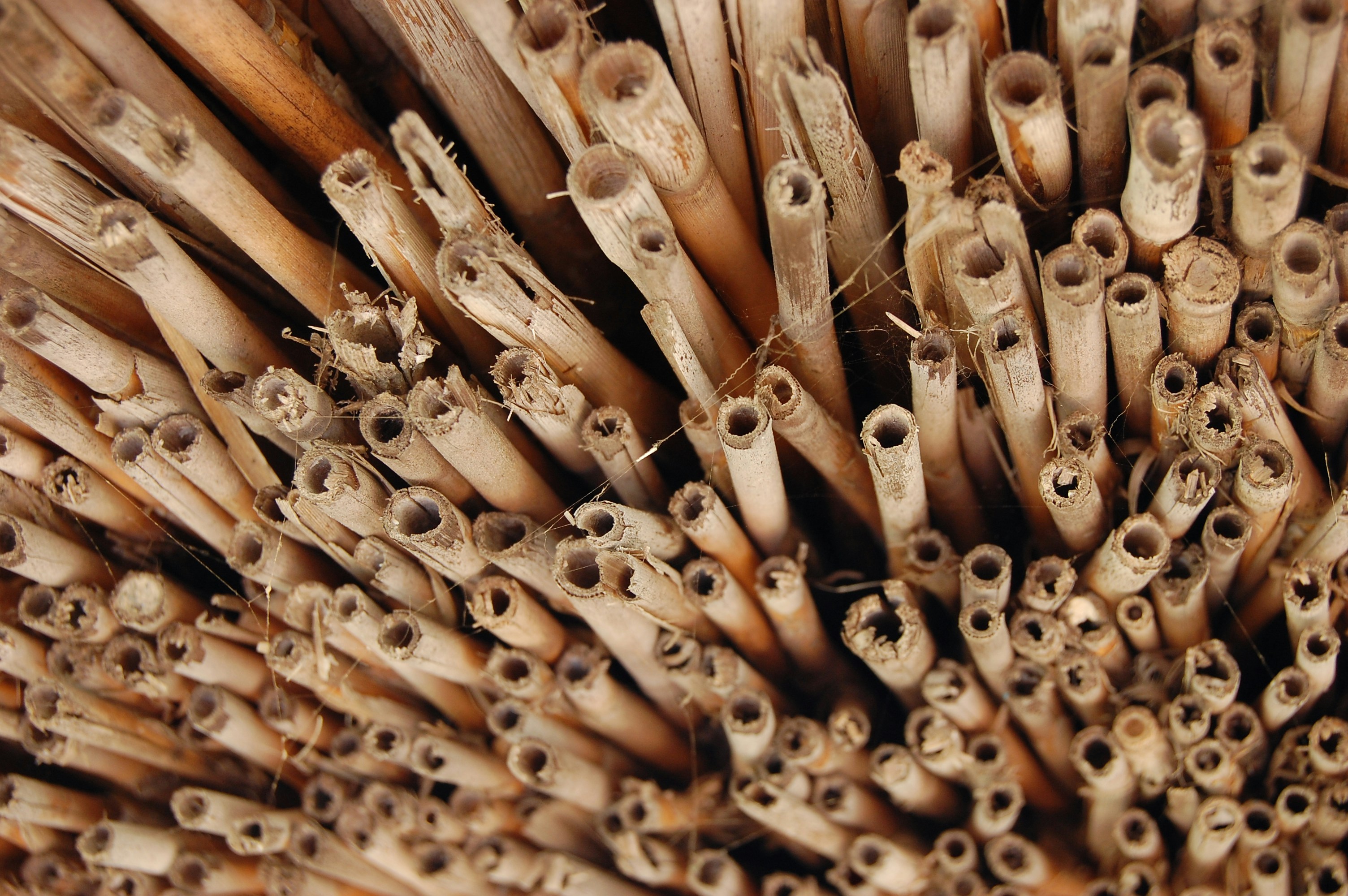 Free Unsplash photo from Kelly Mann