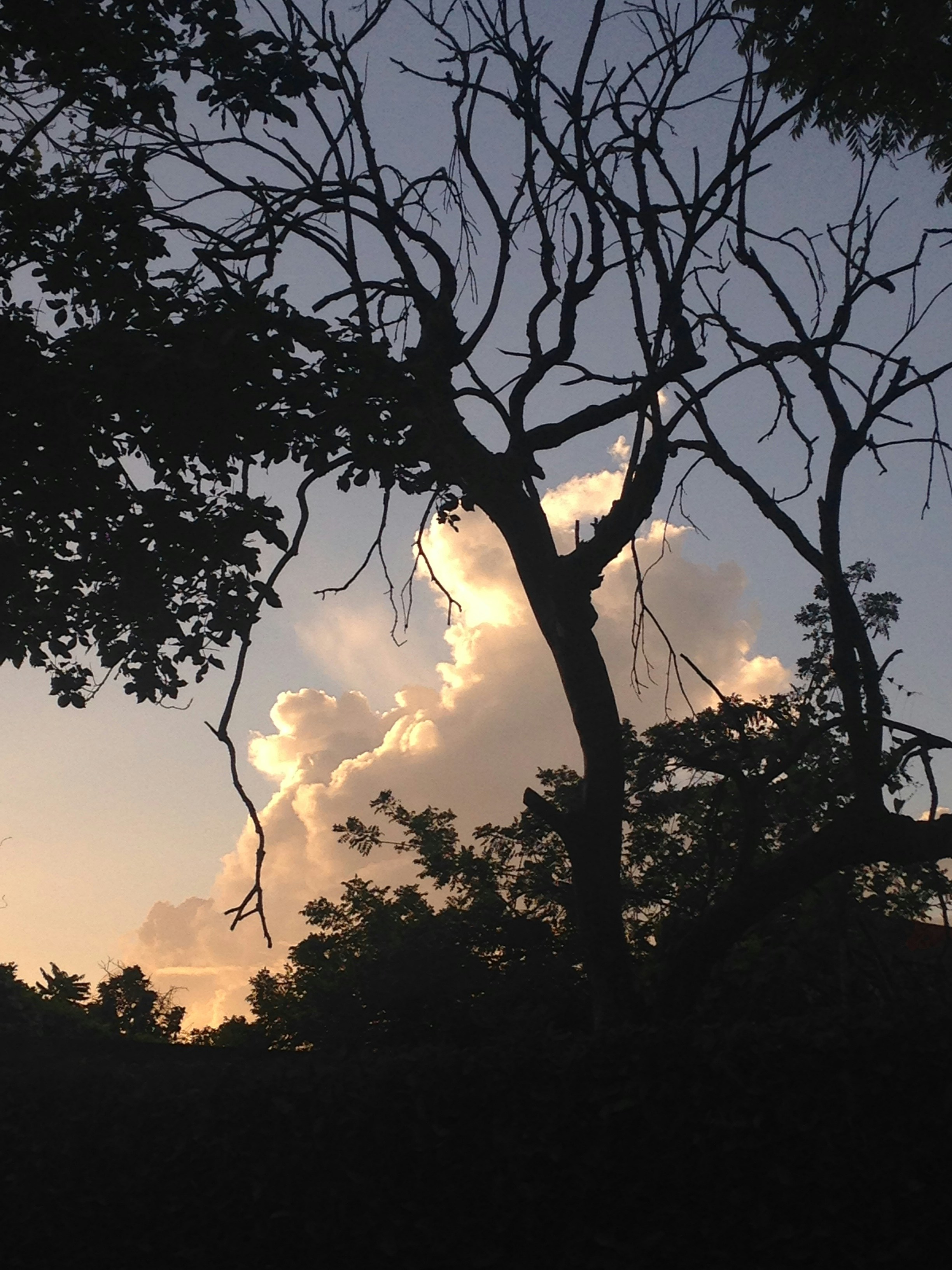 Free Unsplash photo from David RosS