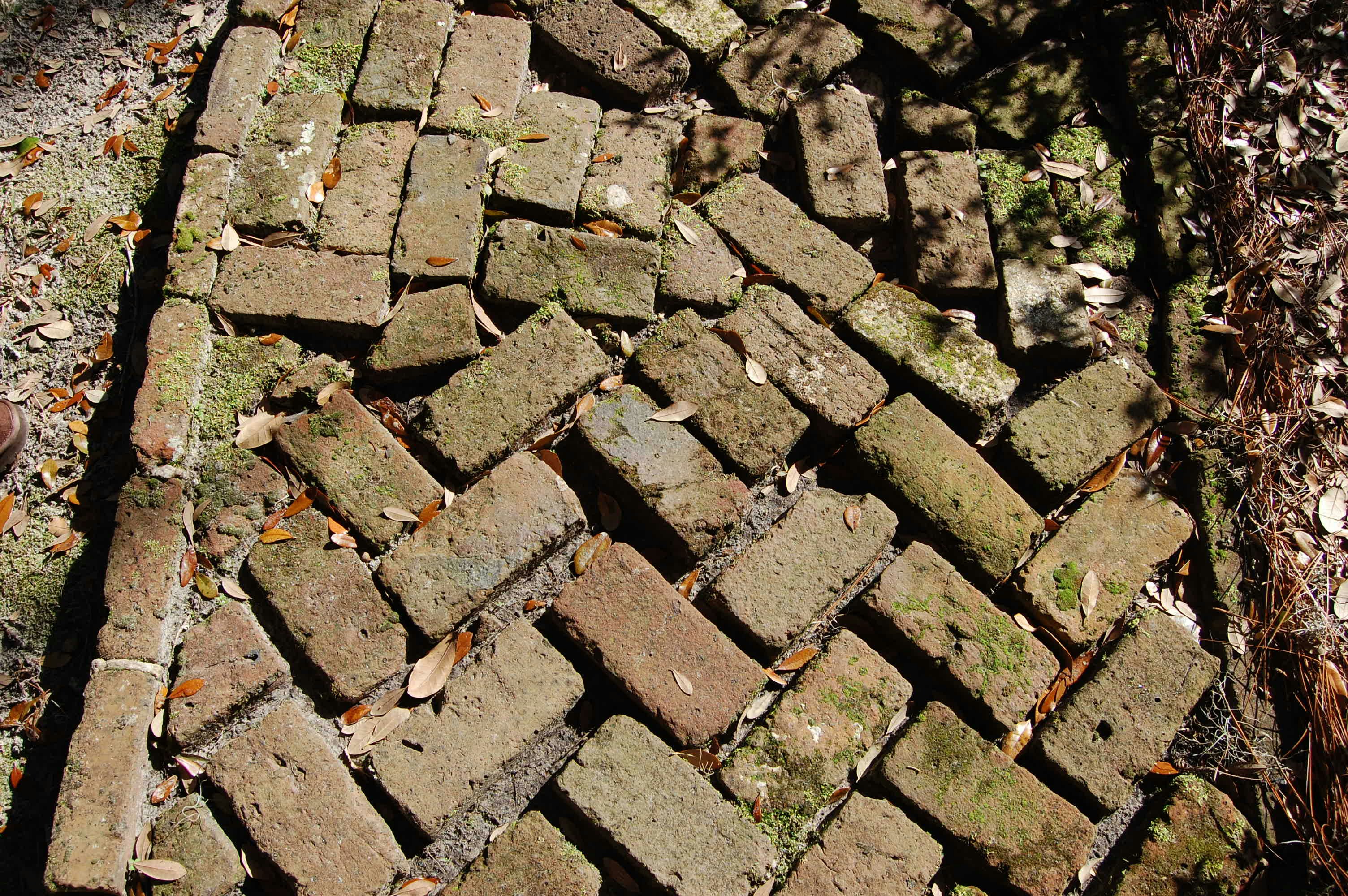 Free Unsplash photo from Kelly Mann