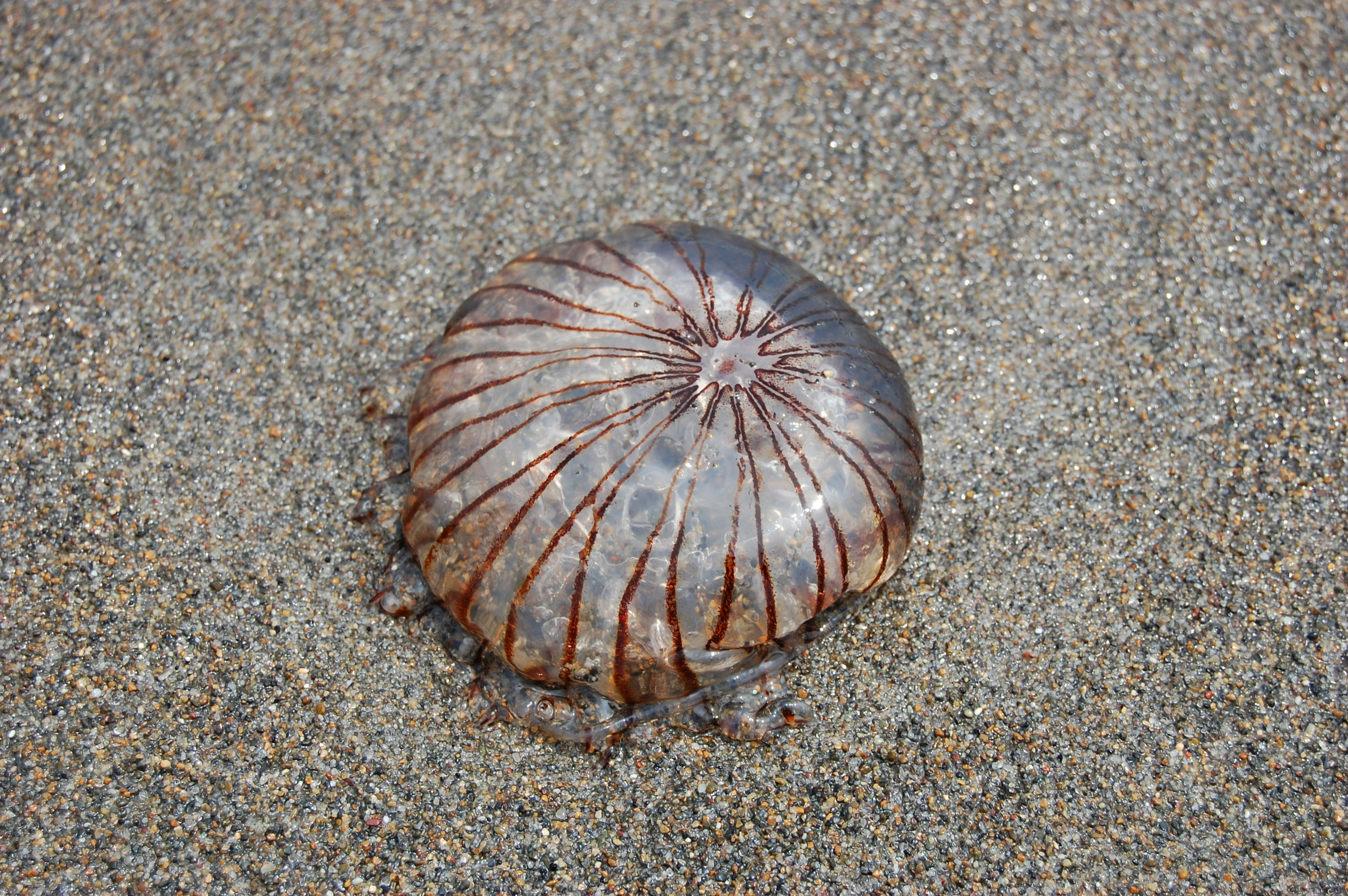 Free Unsplash photo from Kelly Mann