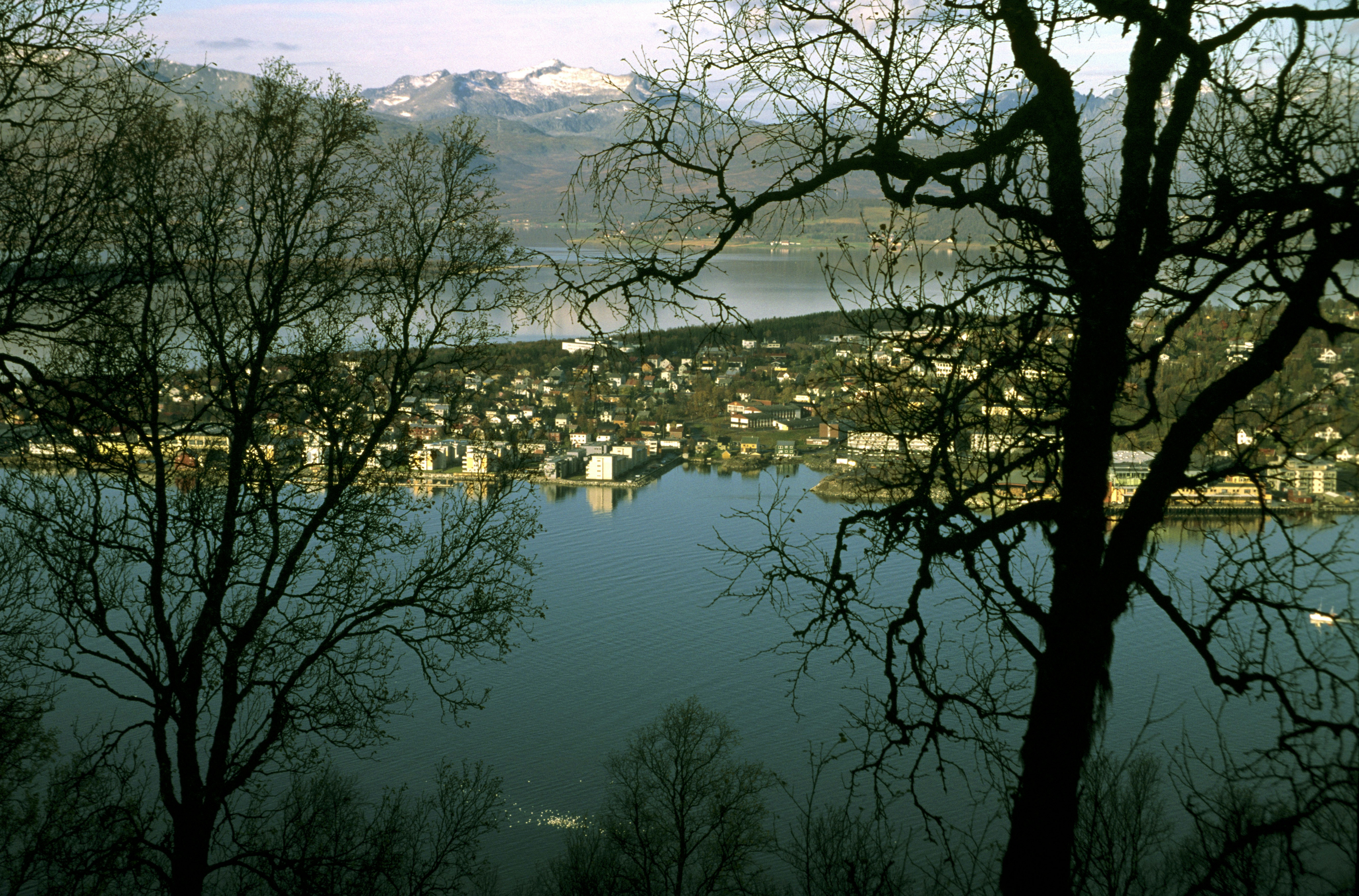 Free Unsplash photo from Dmitrii Calzago