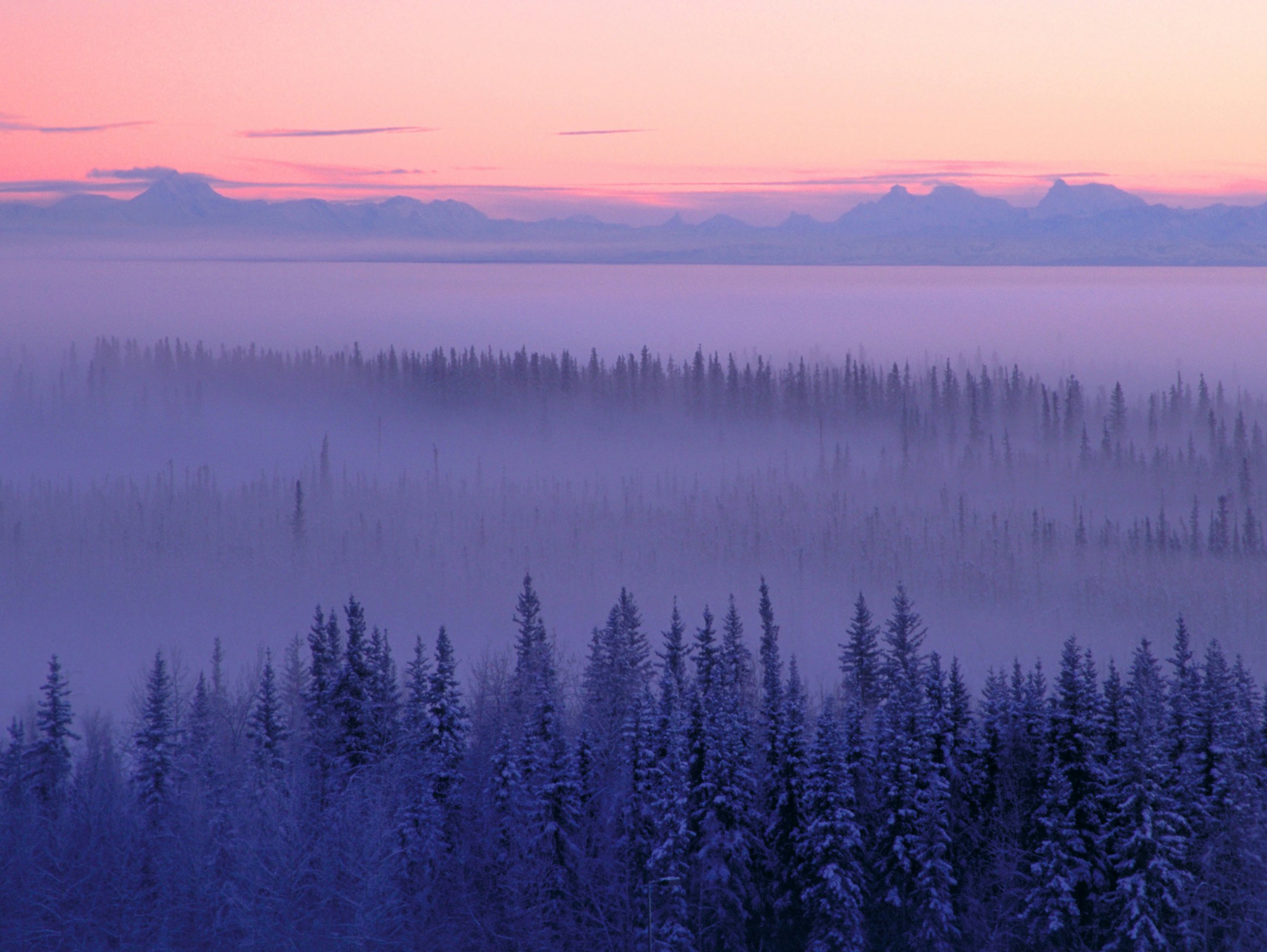 Free Unsplash photo from Dmitrii Calzago