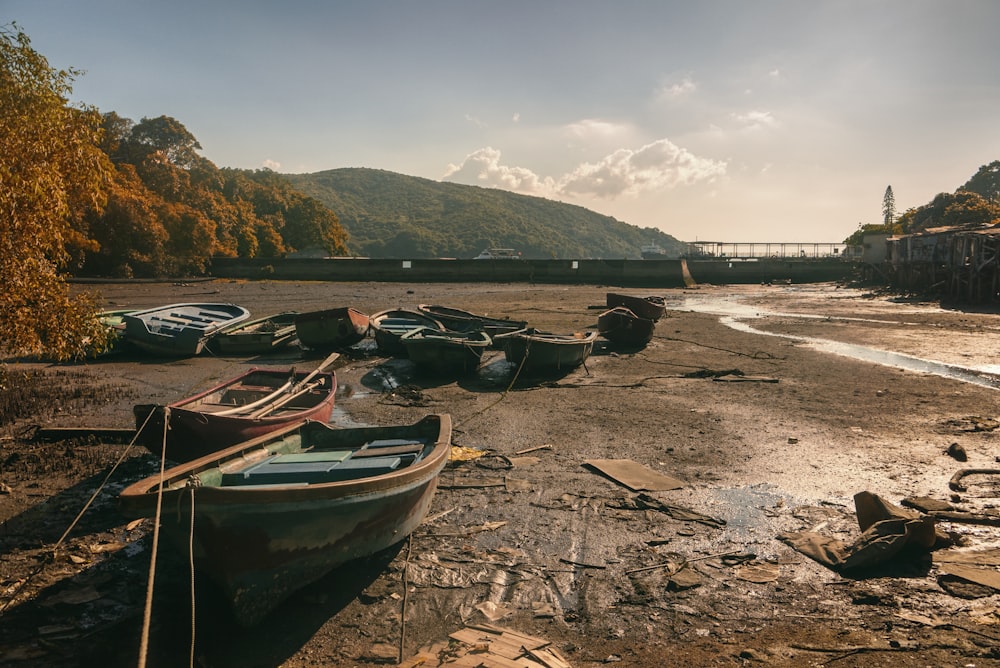 Bateaux assortis sur le sable