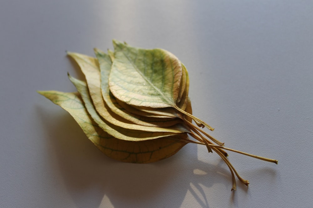 green leaves