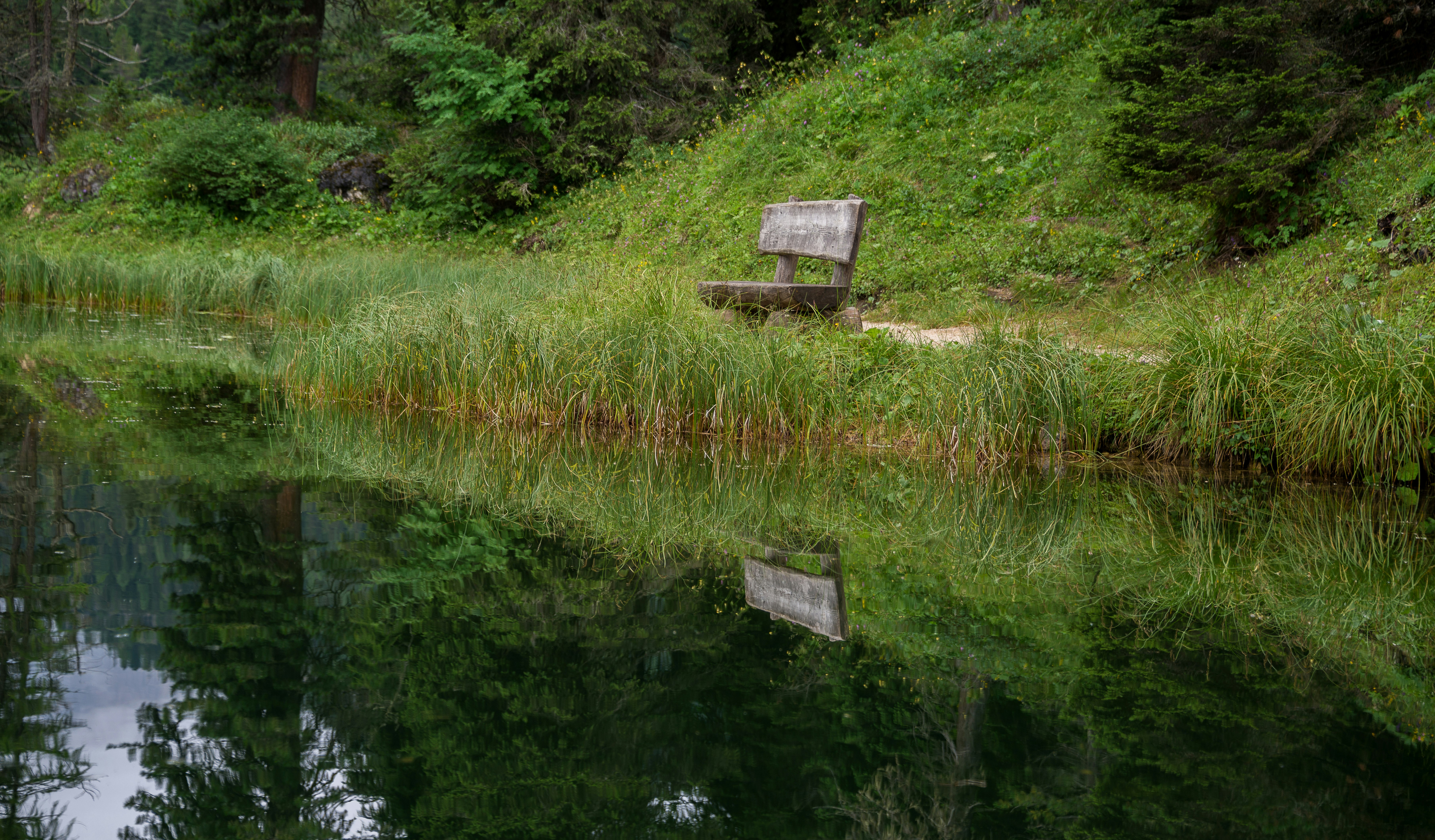 bench near body of water during daytime
