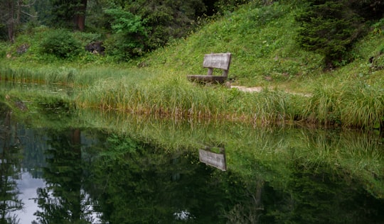 bench near body of water during daytime in Lake Misurina Italy