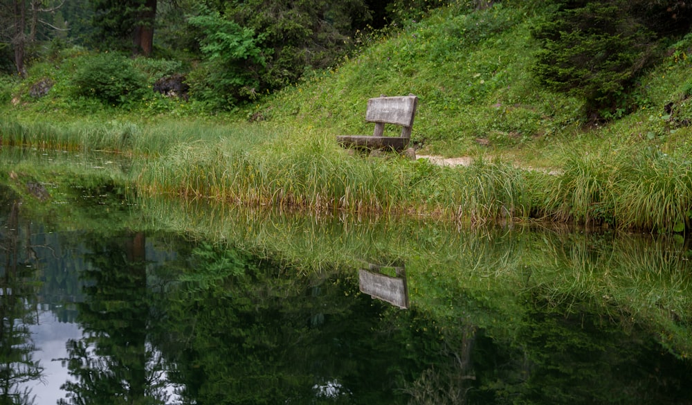 日中の水域近くのベンチ