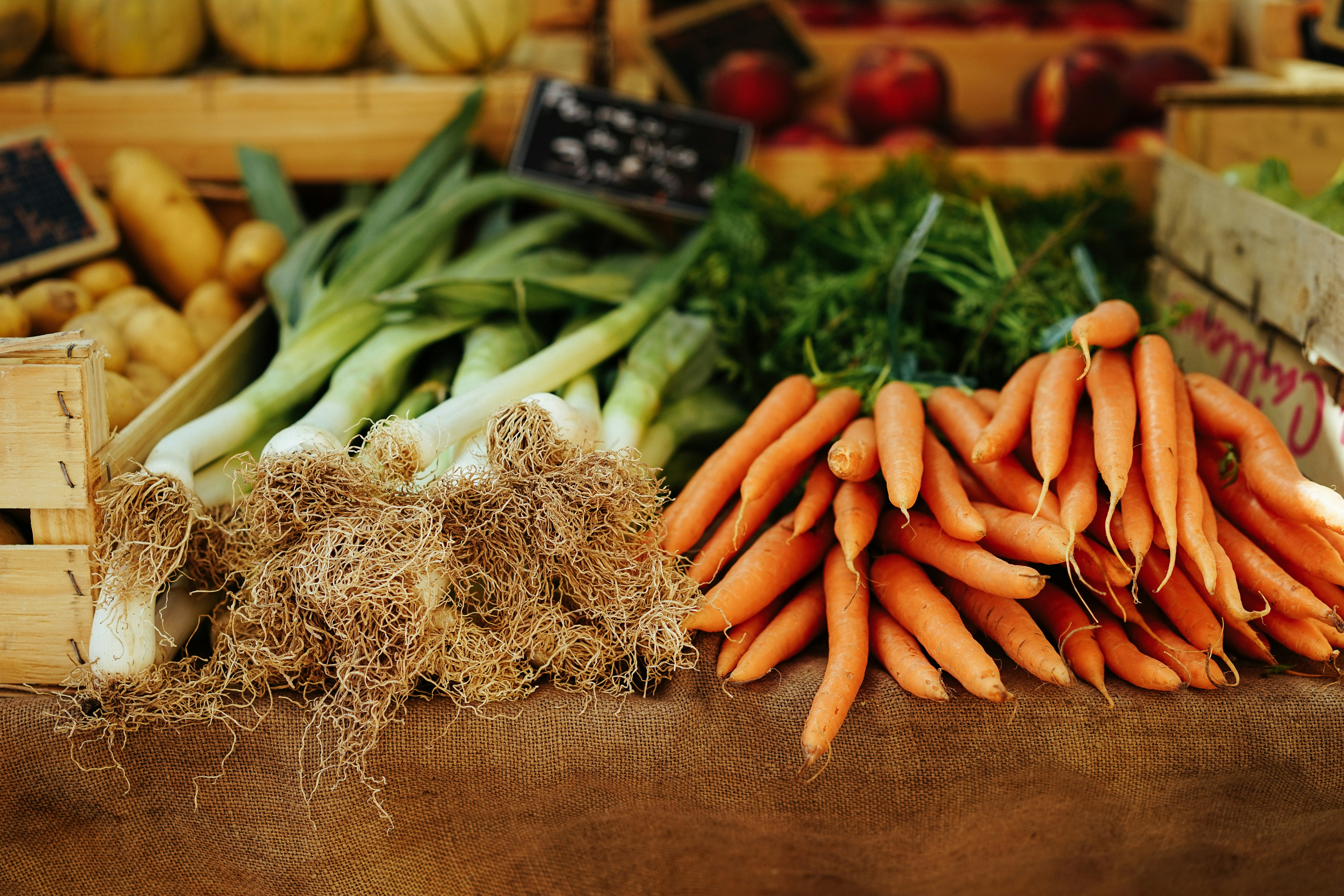 How To Reintroduce Foods After Oxalate Reduction