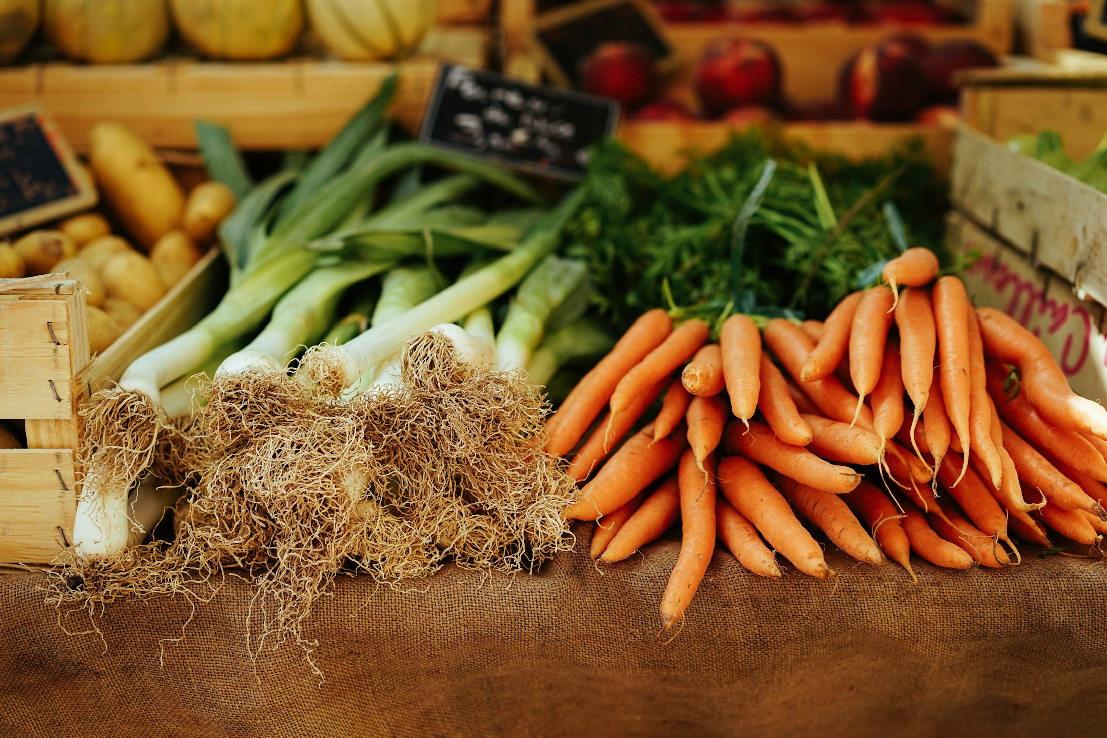 Freshly harvested produce in a wooden crate
