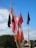 A collection of red and black flags on tall wooden poles stands outdoors against a backdrop of a clear blue sky. A few clouds are scattered across the sky, and trees are visible in the distance, suggesting a natural or park-like setting.