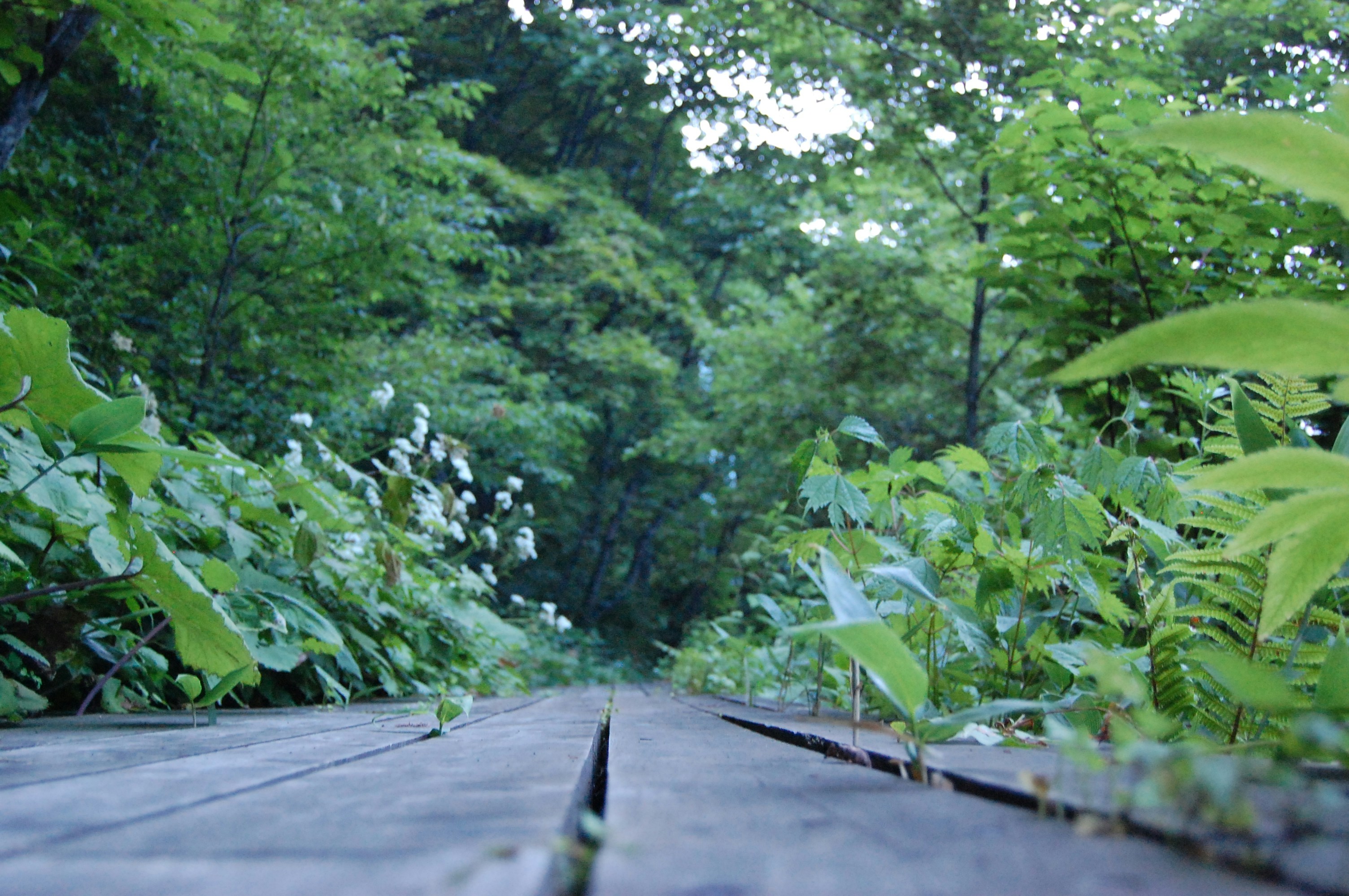 Free Unsplash photo from Kelly Mann