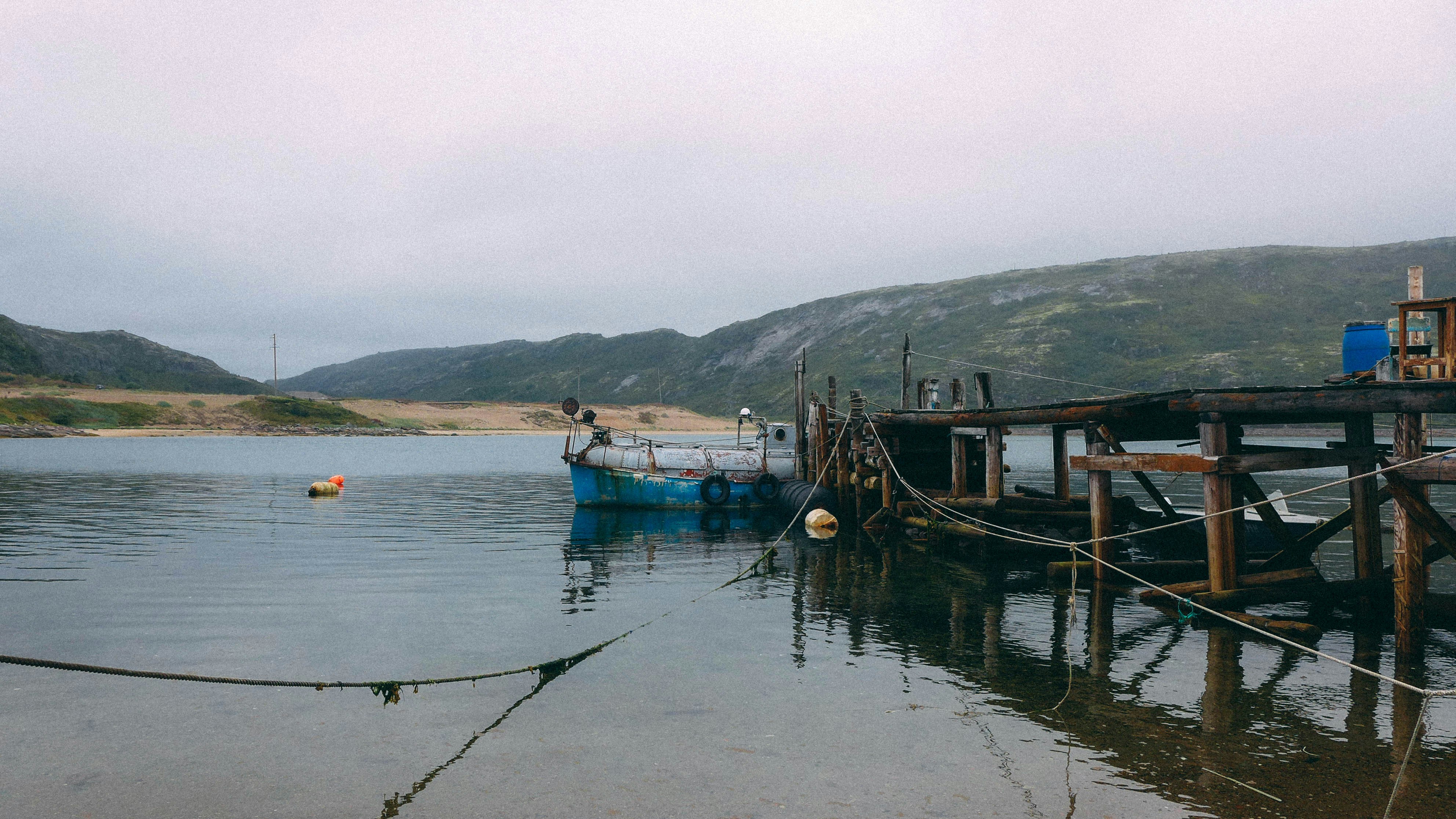 Free Unsplash photo from Shtora Tulpanchik