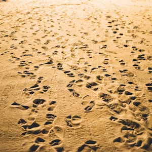 footprints on desert