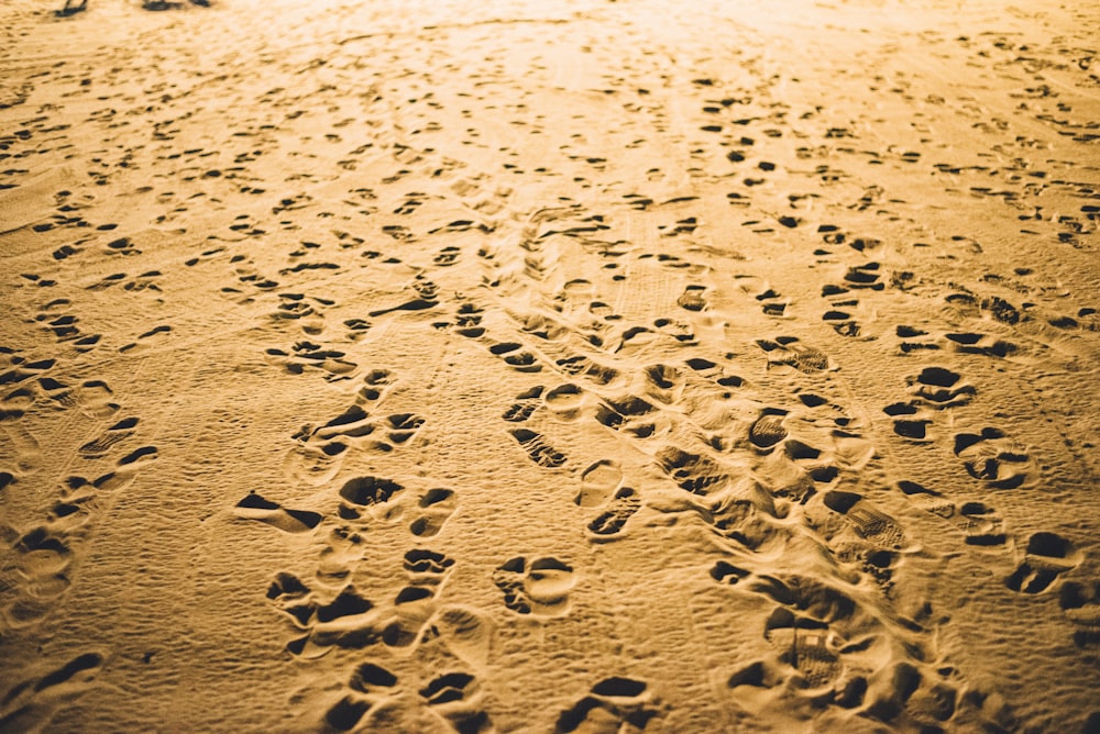 footprints on desert