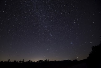starry skies wallpaper