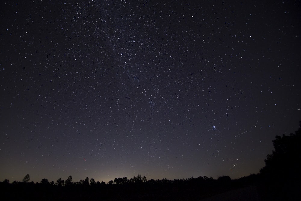 starry skies wallpaper