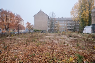 An urban scene featuring an empty lot with sparse vegetation and dry leaves covering the ground. Surrounding the lot are mid-sized residential buildings with a few trees in autumn foliage. The sky appears overcast, creating a subdued atmosphere.