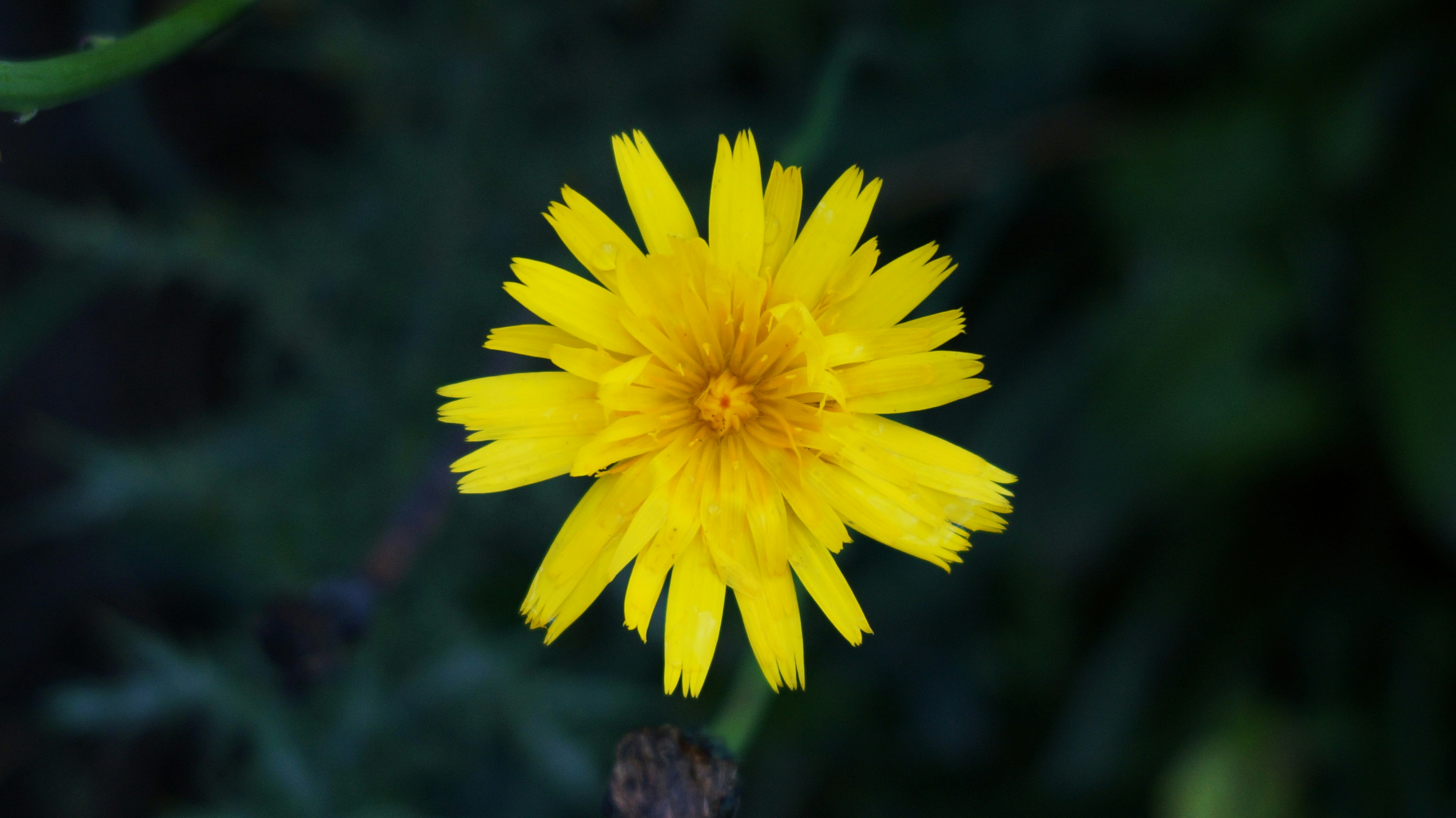 Free Unsplash photo from John Alexander