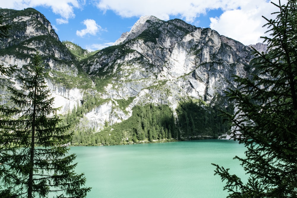 body of water near moutain