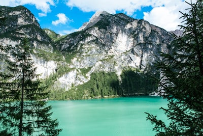 body of water near moutain pine tree zoom background