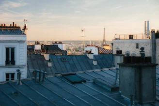 Balcony view overlooking classic Paris rooftops at sunset