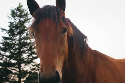 Photo 1471262228206 C0939e3c48ac?q=85&w=400&h=450&fit=crop