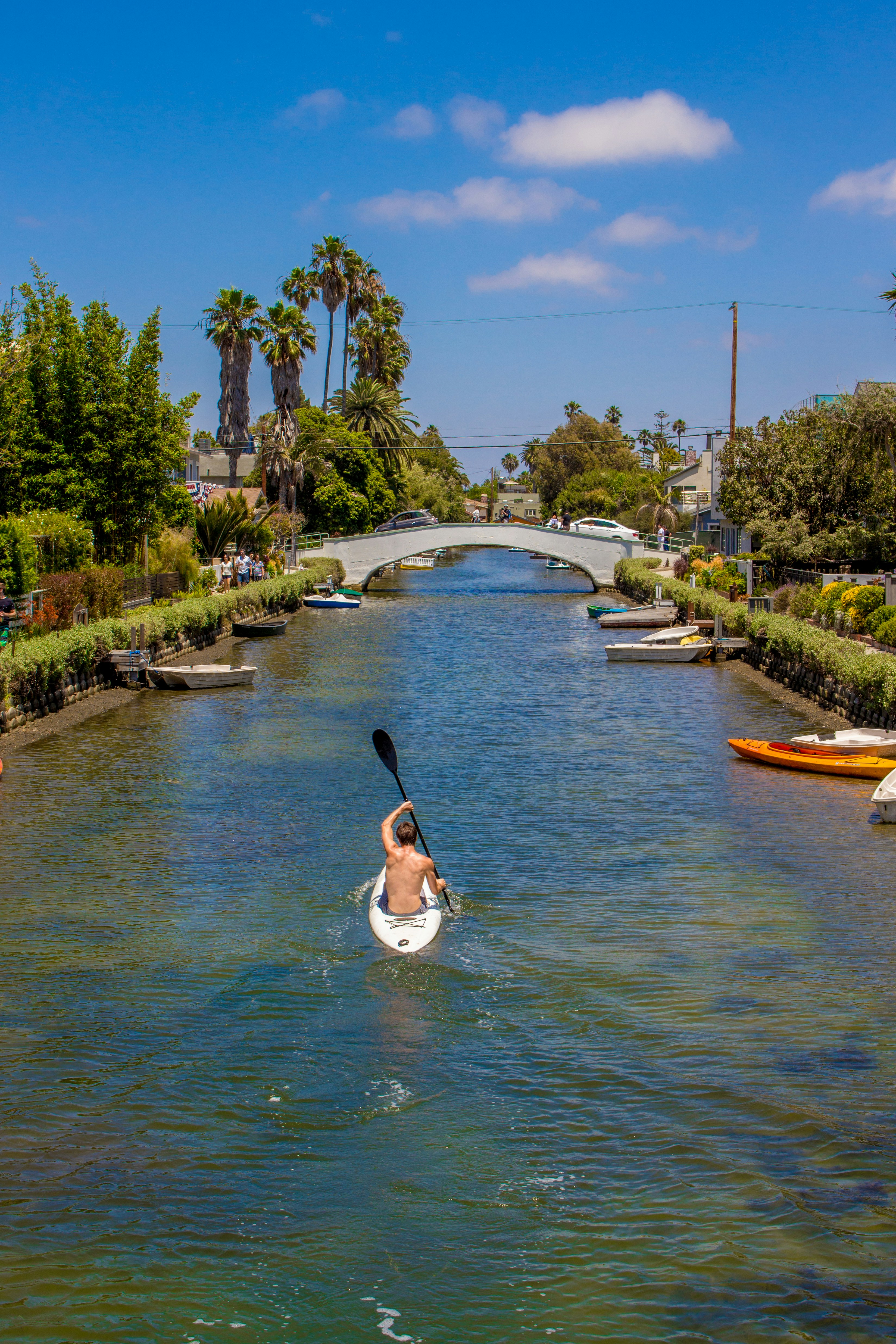 Free Unsplash photo from Maurice Smeets