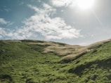Rolling green hills under a wide, cloudy sky in soft afternoon light.