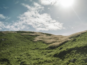 Rolling green hills under a wide, cloudy sky in soft afternoon light.