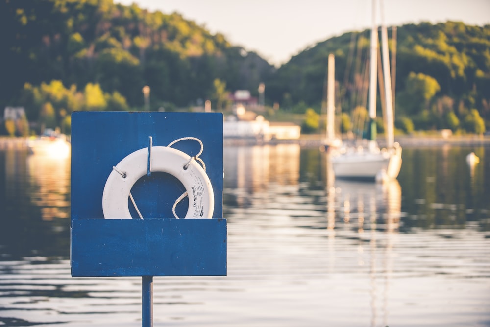 lifebuoy near the body of water