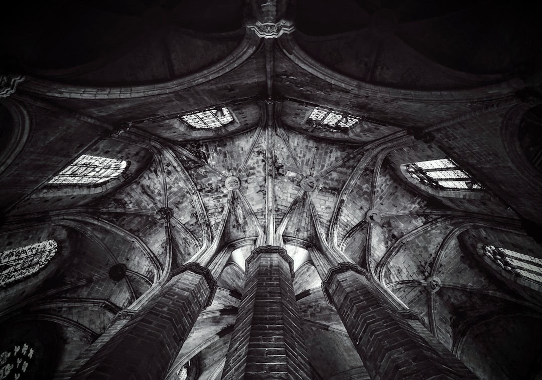 photo of Barcelona Cathedral near Barcelona Museum of Contemporary Art