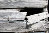 Close-up of weathered wooden planks being restored on the Oriav.