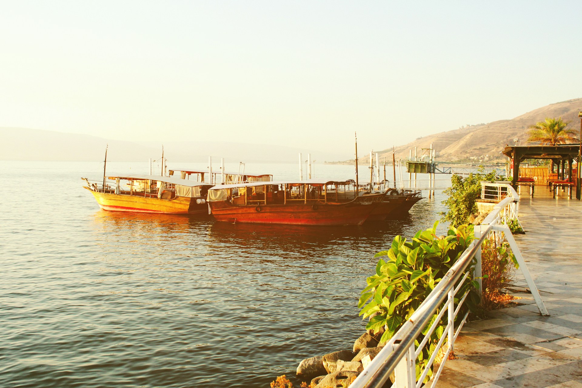 An elegant day boat anchored near a wooden pier, framed by lush greenery and the warm glow of a late afternoon sun.