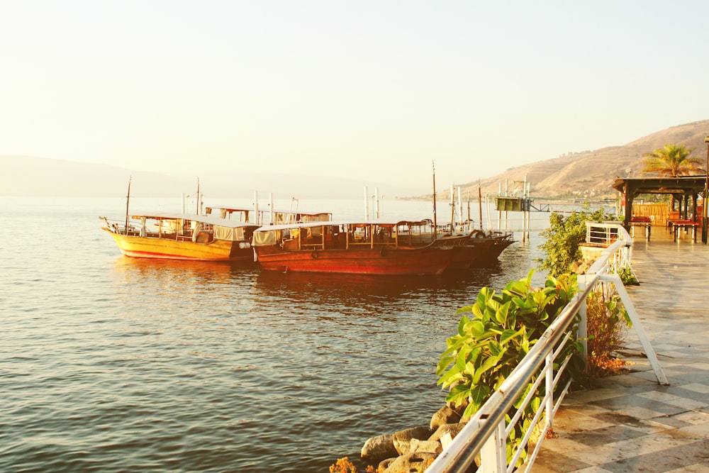 Boats docked on the water in Israel.