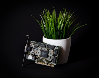 Close-up of a sleek, energy-efficient mining rig surrounded by lush green plants.