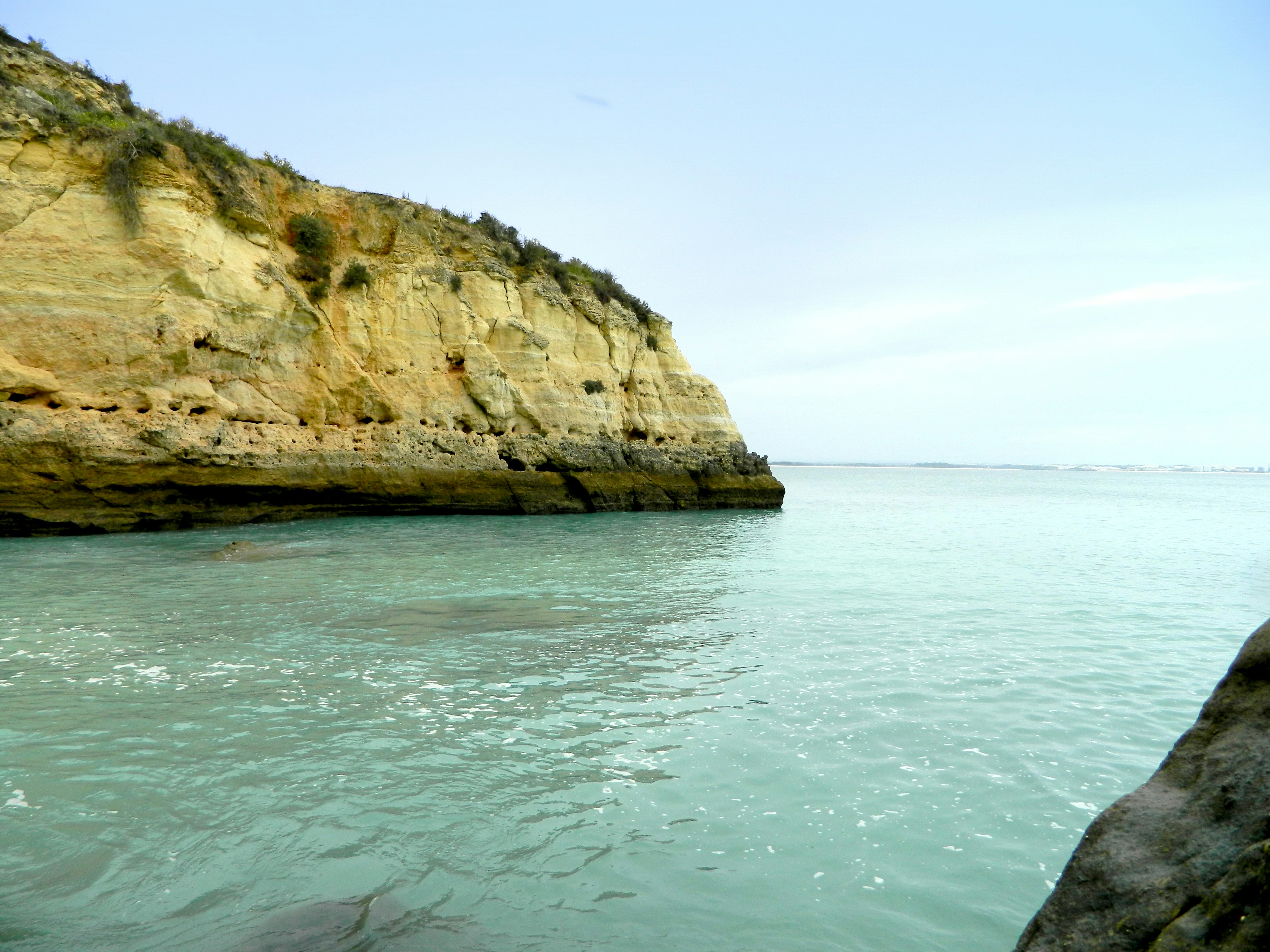 Free Unsplash photo from Manjinder Singh