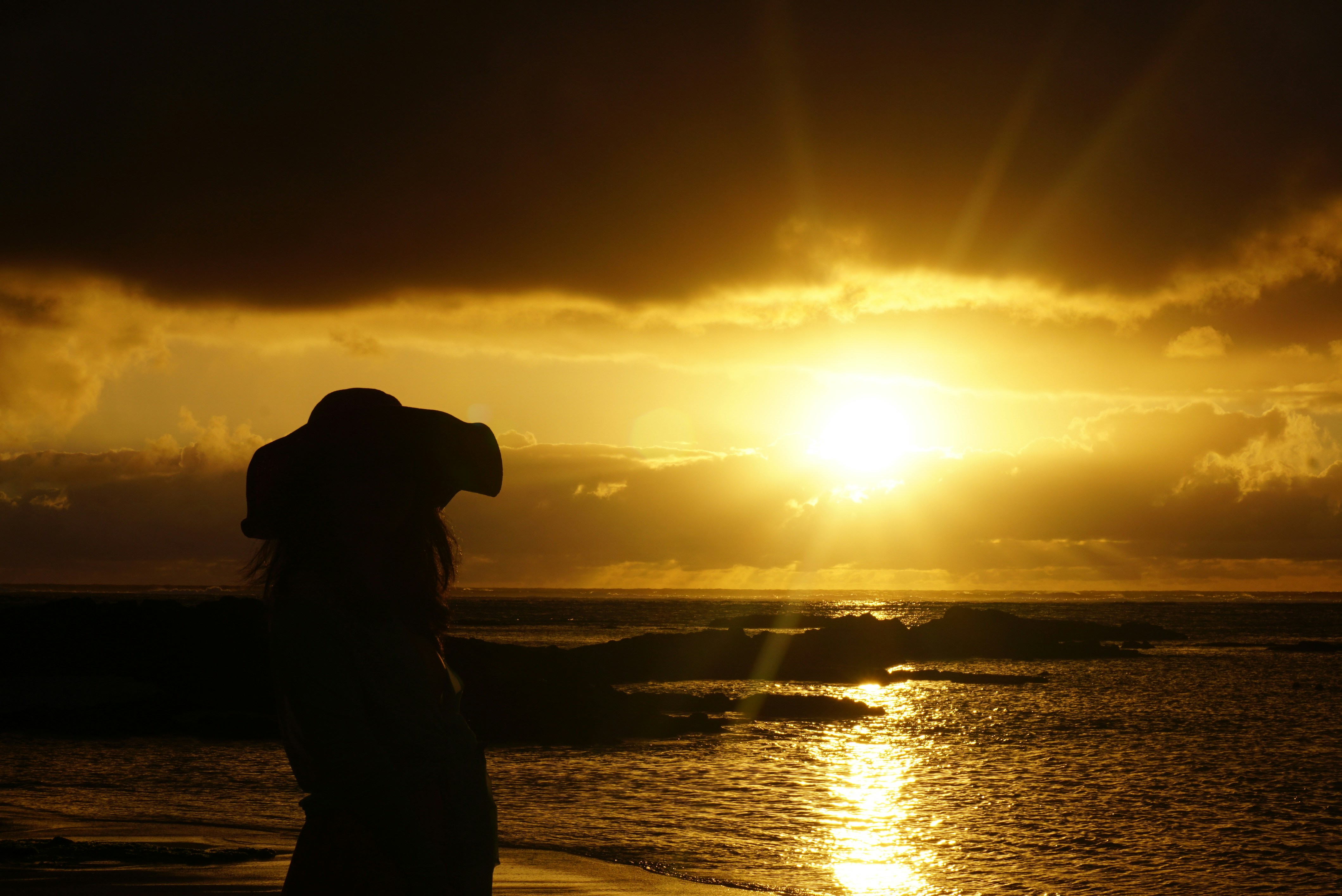 Free Unsplash photo from xIE HONGYU