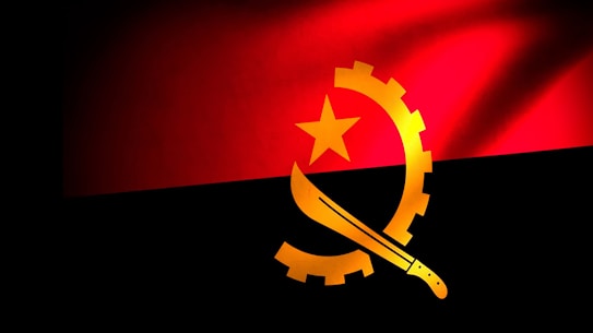 A flag design consisting of a two-toned background with the top half red and the bottom half black. Overlaid in the center is a yellow emblem featuring a cogwheel, a star, and a machete.
