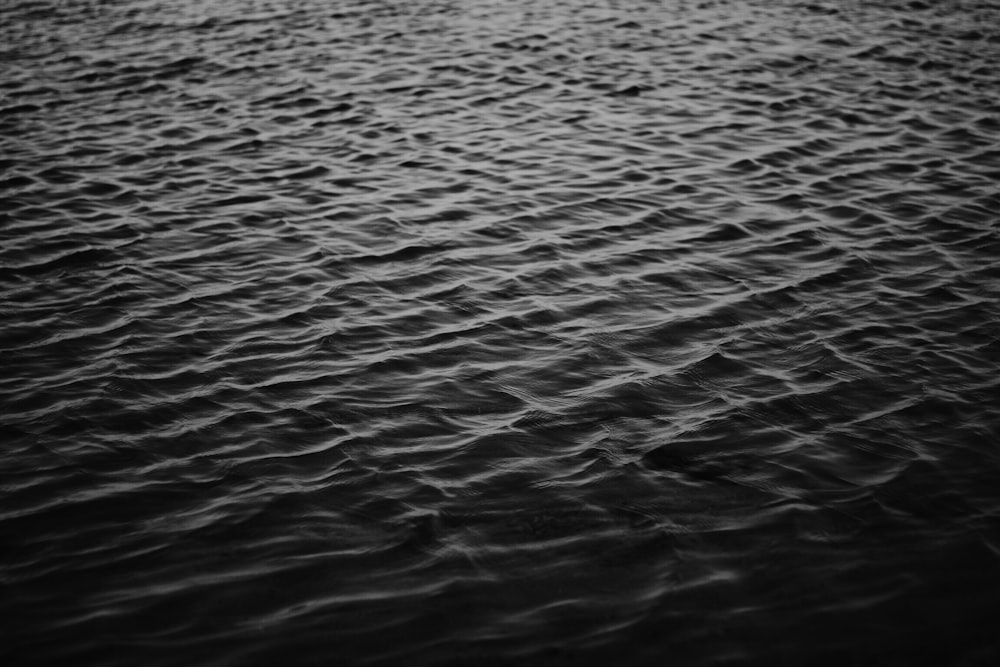 grayscale photo of sea